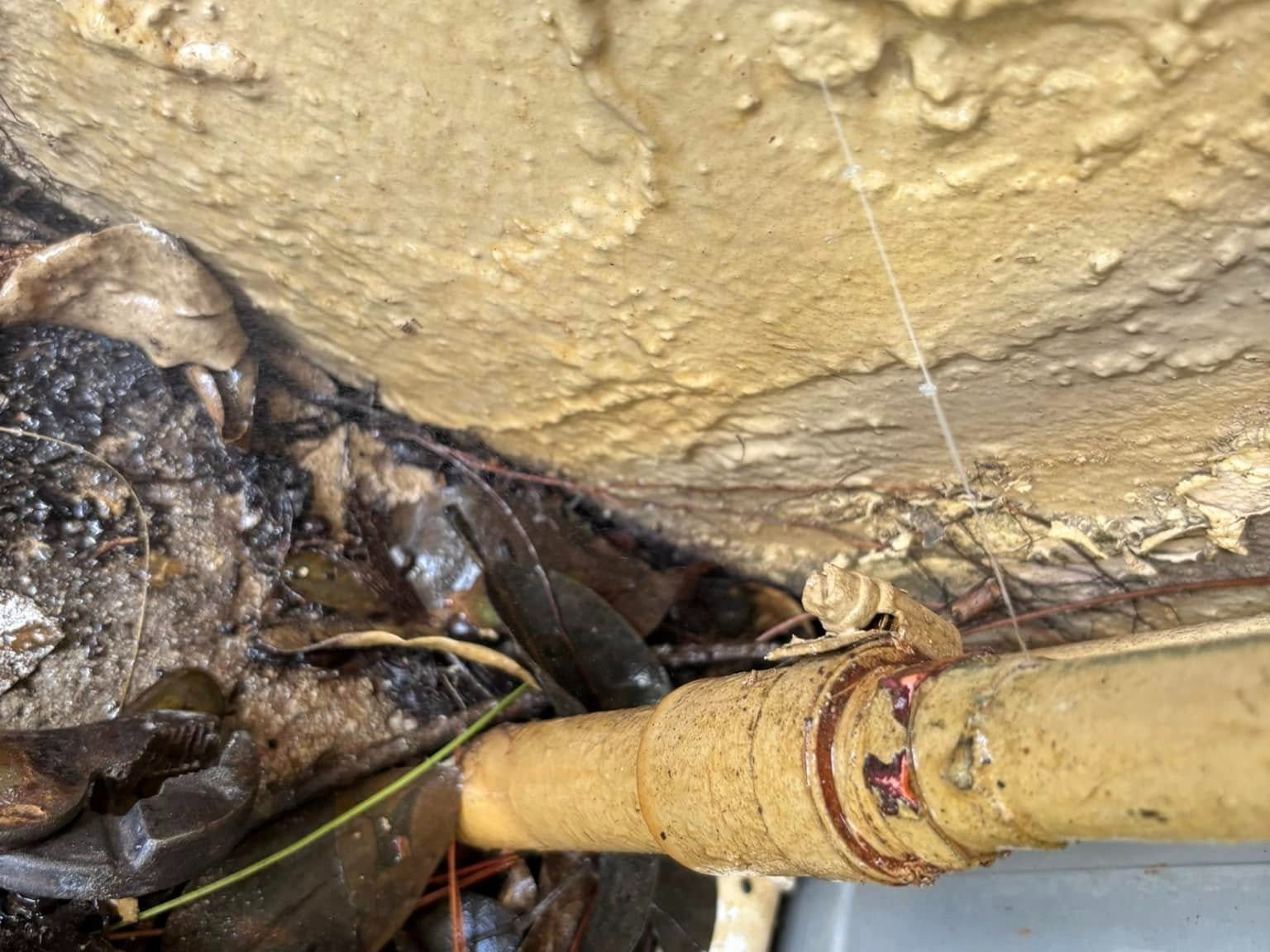 Professional Drain Cleaning
